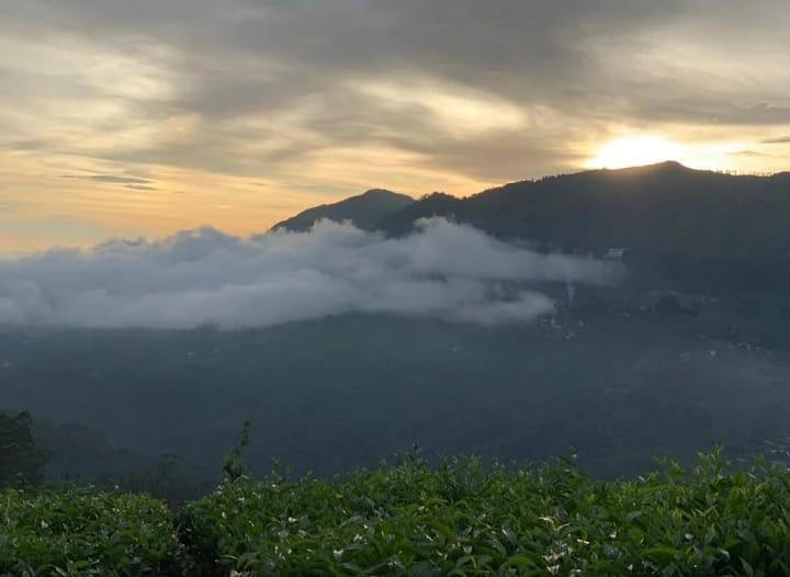 Nirvana Resort Munnar
